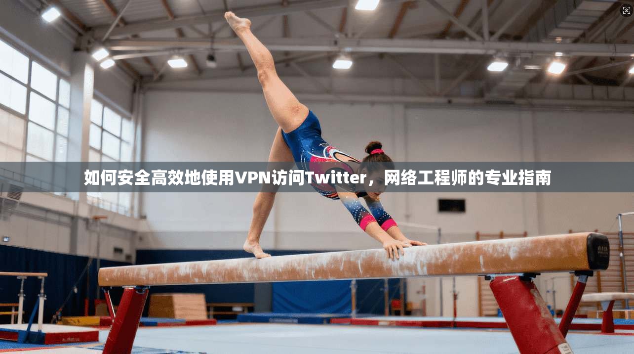 如何安全高效地使用VPN访问Twitter，网络工程师的专业指南
