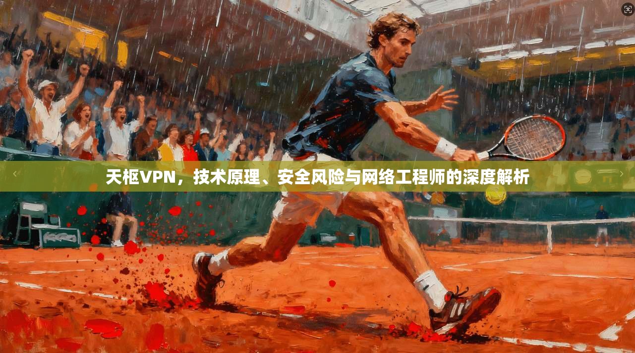 天枢VPN，技术原理、安全风险与网络工程师的深度解析