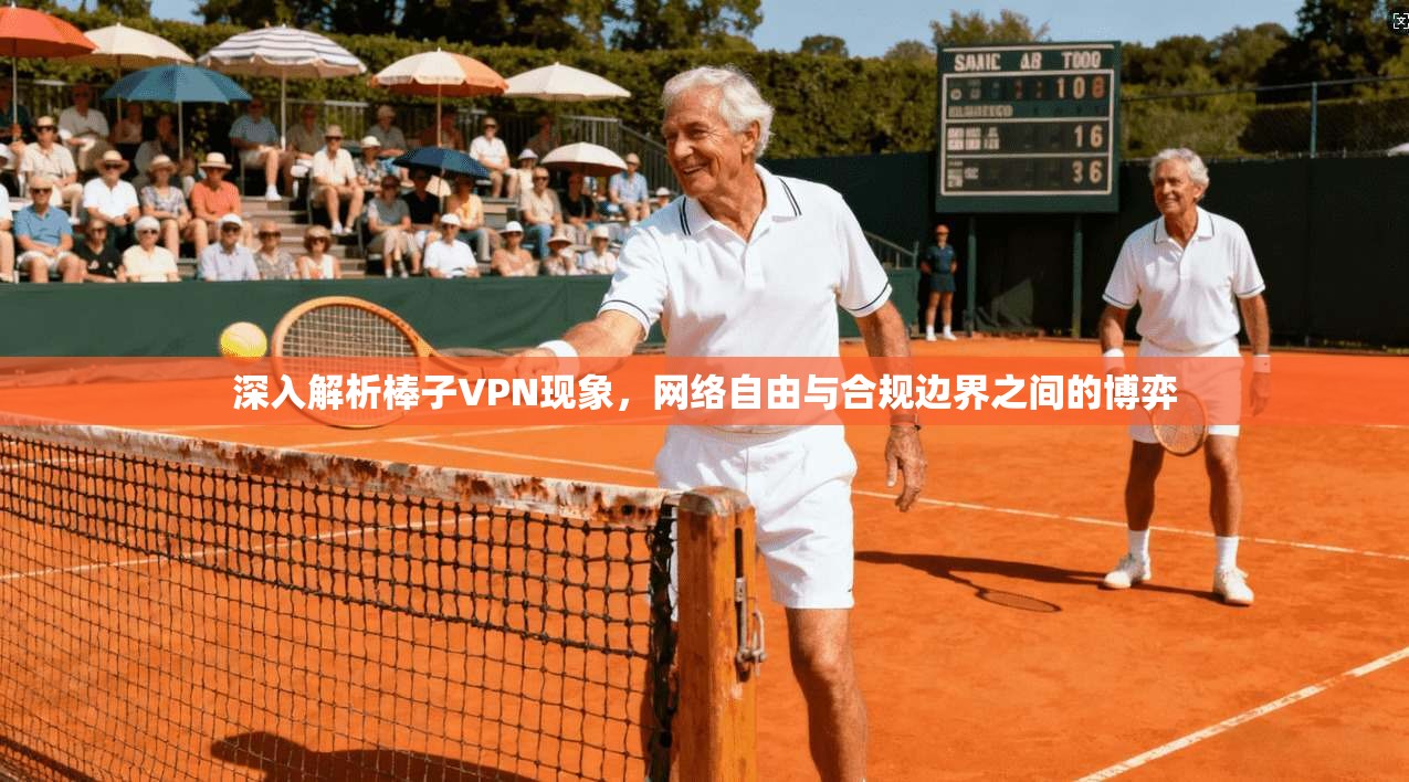 深入解析棒子VPN现象，网络自由与合规边界之间的博弈