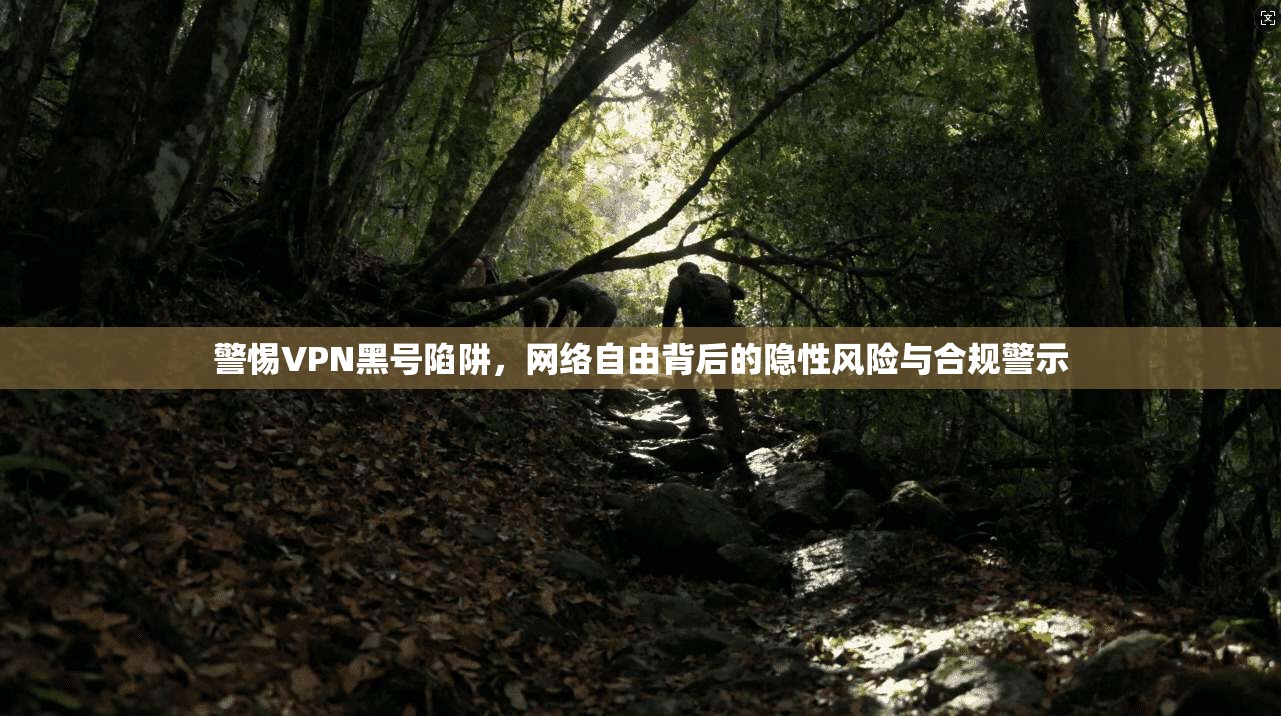 警惕VPN黑号陷阱，网络自由背后的隐性风险与合规警示