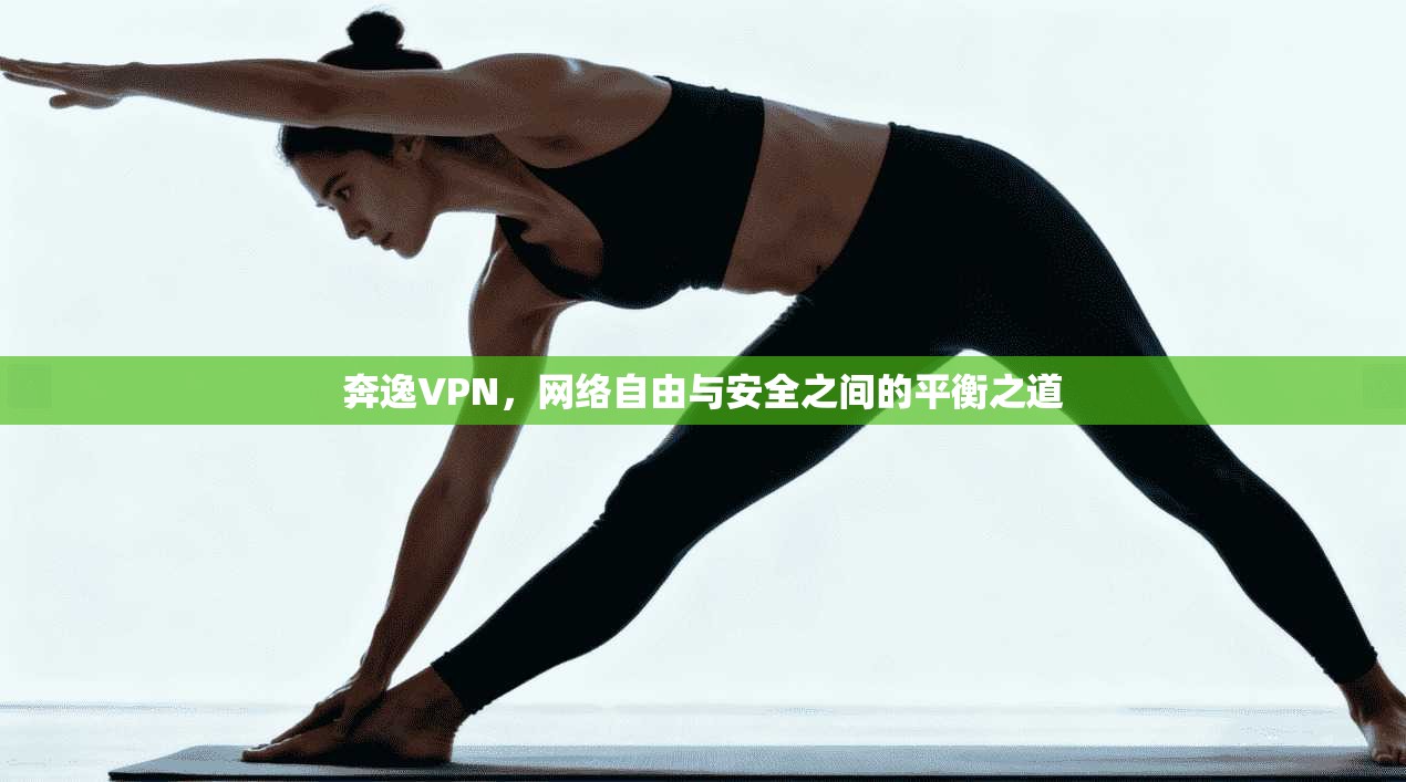 奔逸VPN，网络自由与安全之间的平衡之道