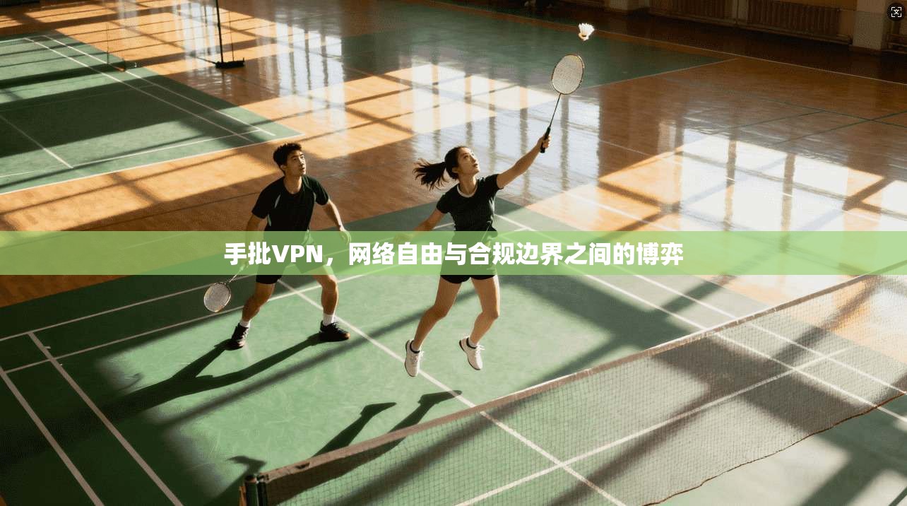 手批VPN，网络自由与合规边界之间的博弈