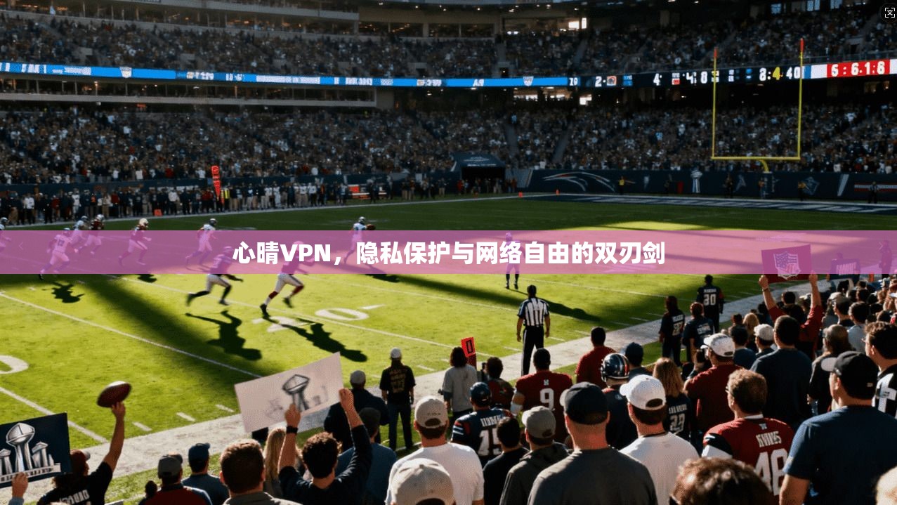 心晴VPN，隐私保护与网络自由的双刃剑
