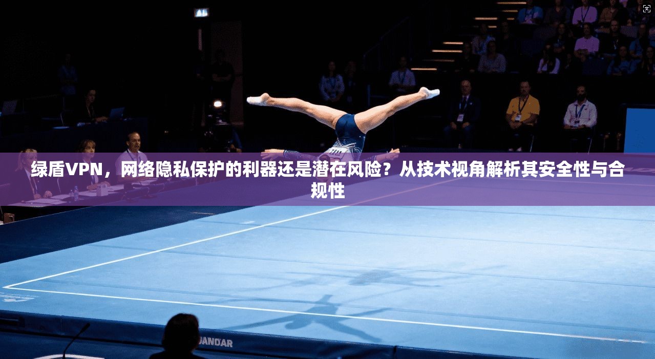 绿盾VPN，网络隐私保护的利器还是潜在风险？从技术视角解析其安全性与合规性