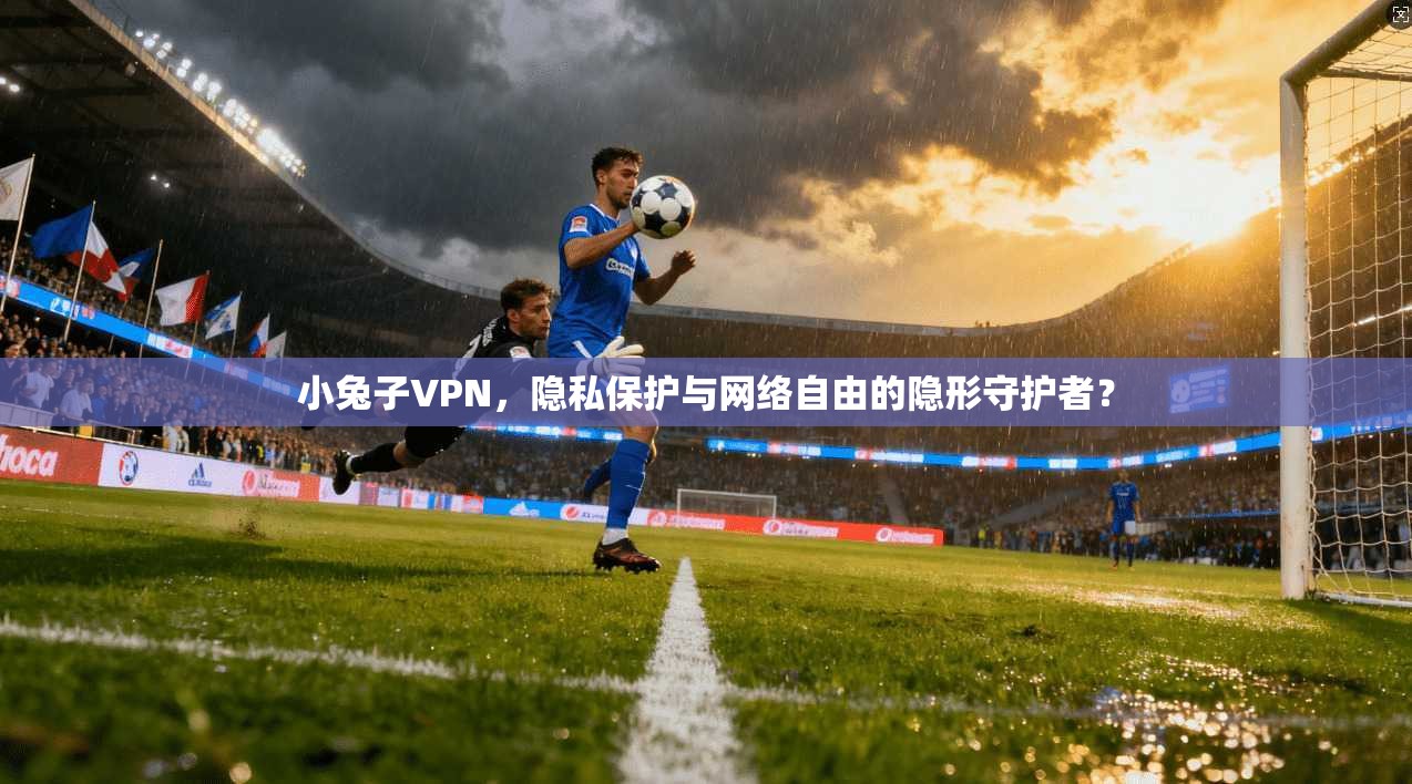 小兔子VPN，隐私保护与网络自由的隐形守护者？