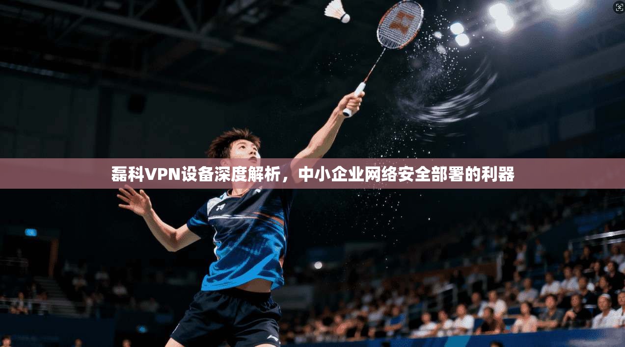 磊科VPN设备深度解析，中小企业网络安全部署的利器
