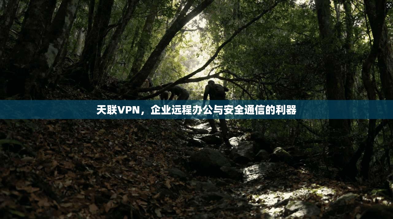 天联VPN，企业远程办公与安全通信的利器