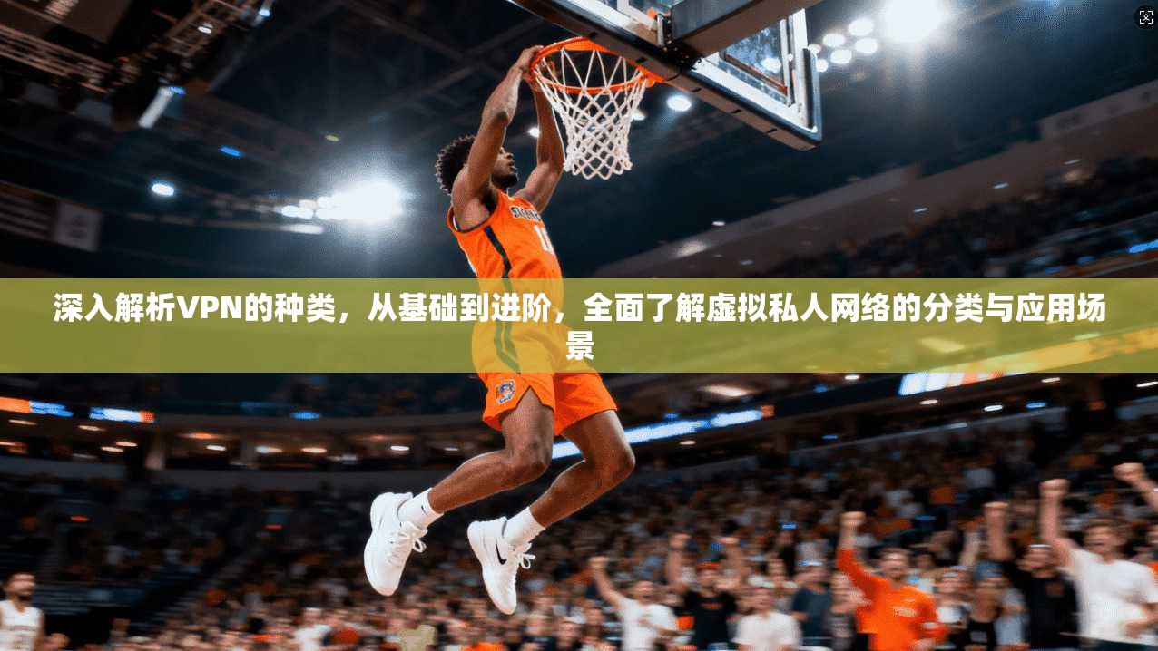 深入解析VPN的种类，从基础到进阶，全面了解虚拟私人网络的分类与应用场景