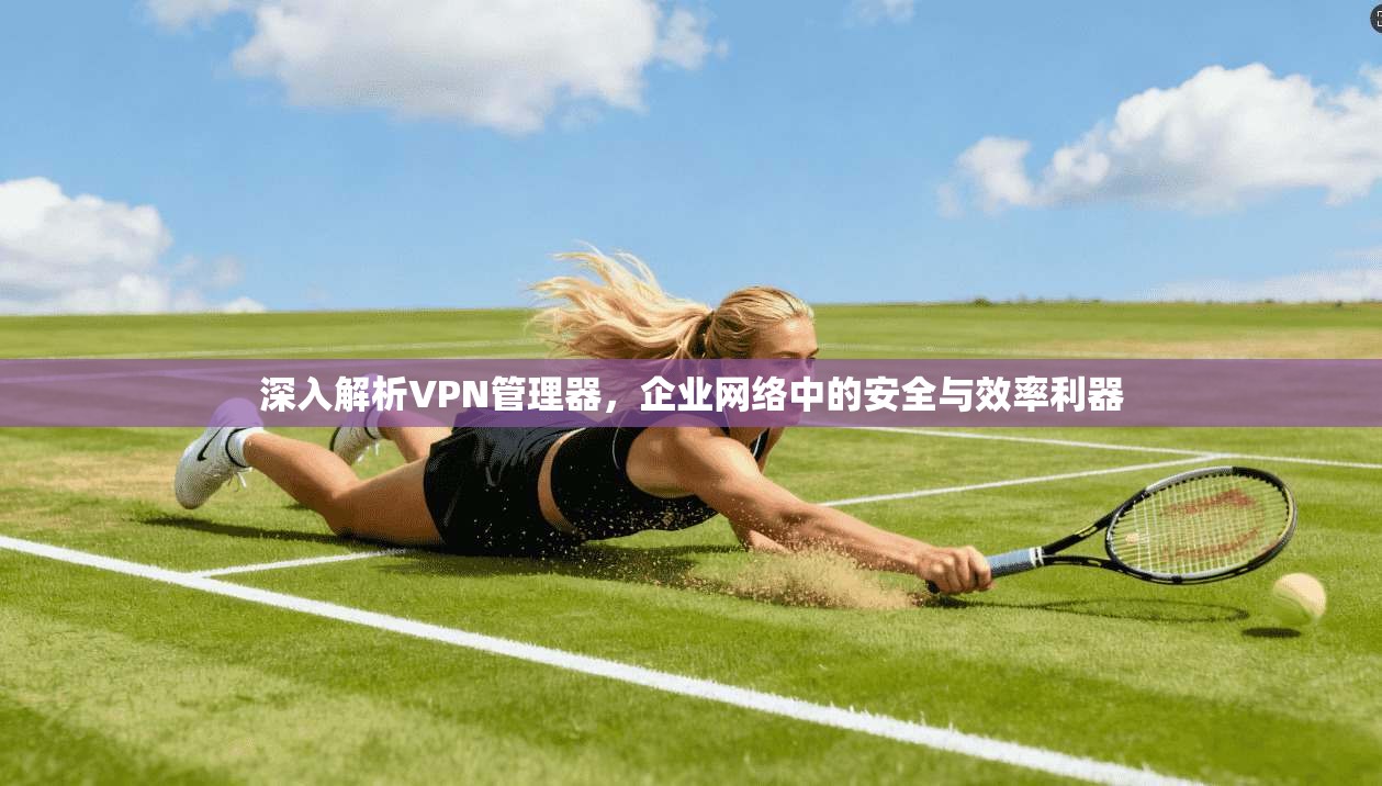 深入解析VPN管理器,企业网络中的安全与效率利器 深入解析VPN管理器,企业网络中的安全与效率利器