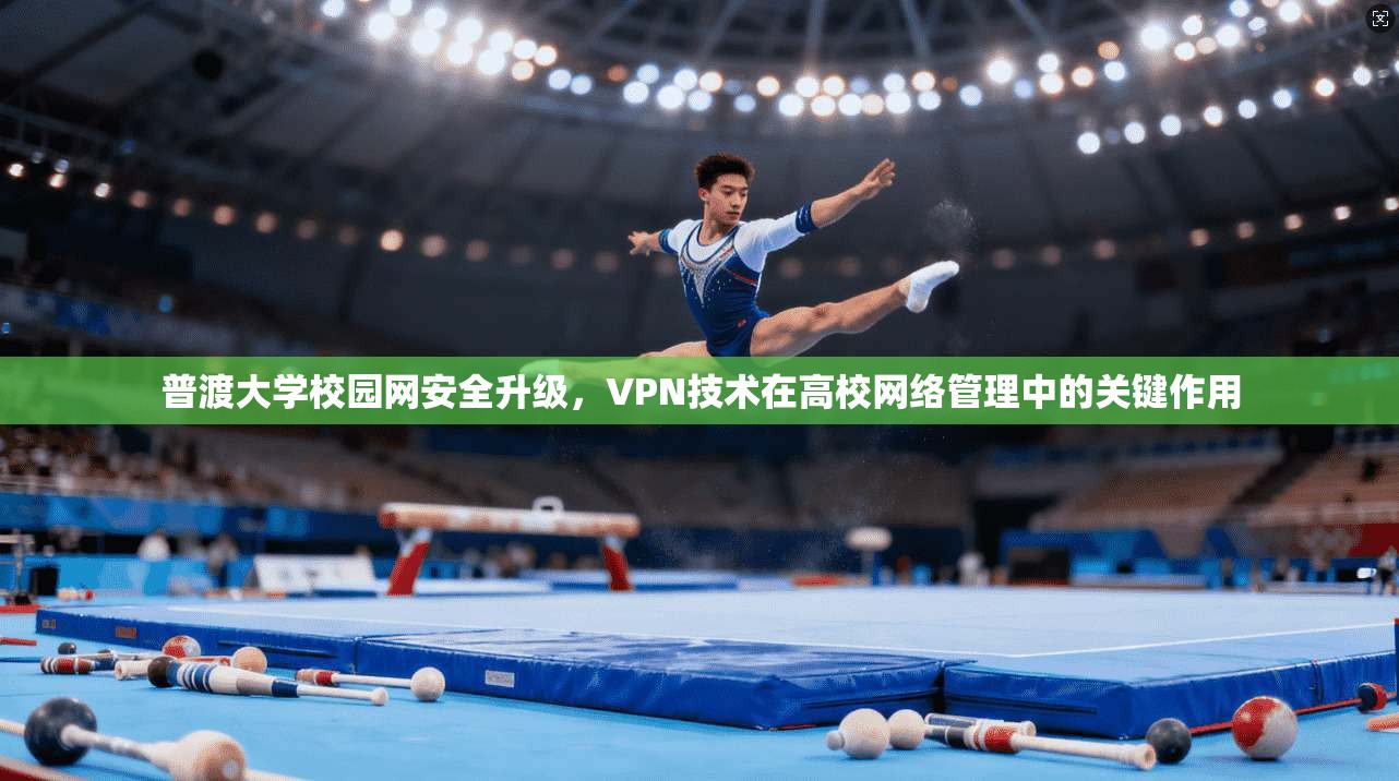 普渡大学校园网安全升级，VPN技术在高校网络管理中的关键作用