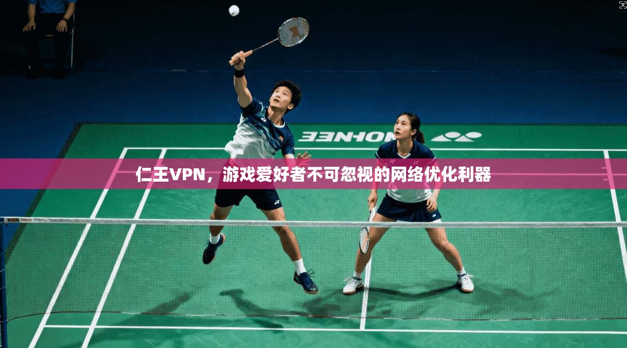 仁王VPN,游戏爱好者不可忽视的网络优化利器