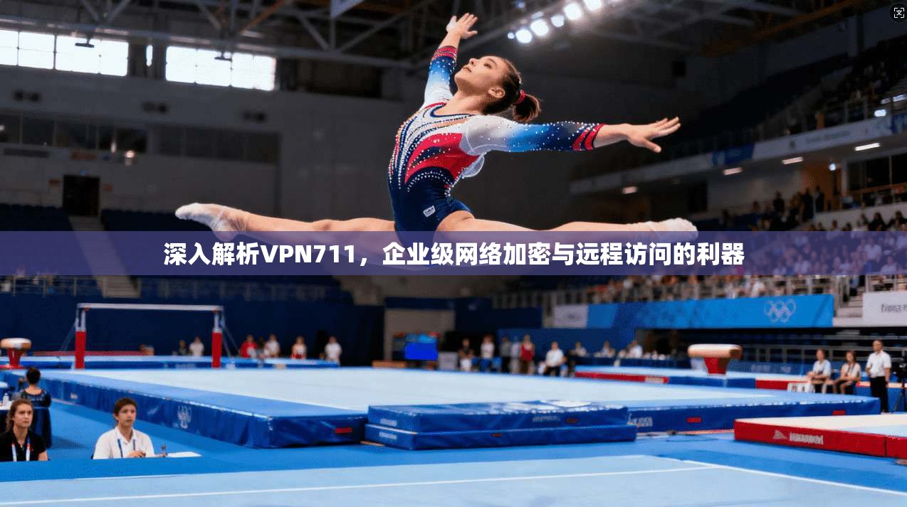 深入解析VPN711，企业级网络加密与远程访问的利器