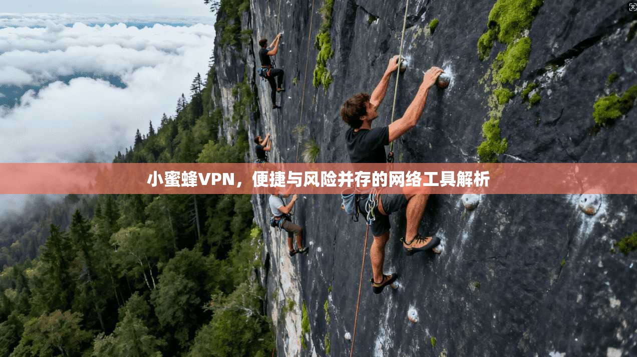 小蜜蜂VPN，便捷与风险并存的网络工具解析