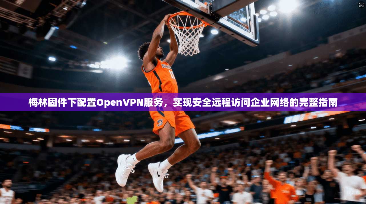 梅林固件下配置OpenVPN服务，实现安全远程访问企业网络的完整指南