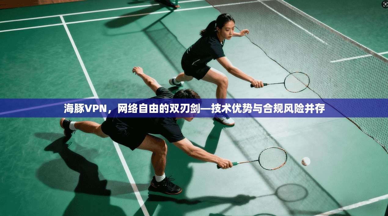 海豚VPN,网络自由的双刃剑—技术优势与合规风险并存