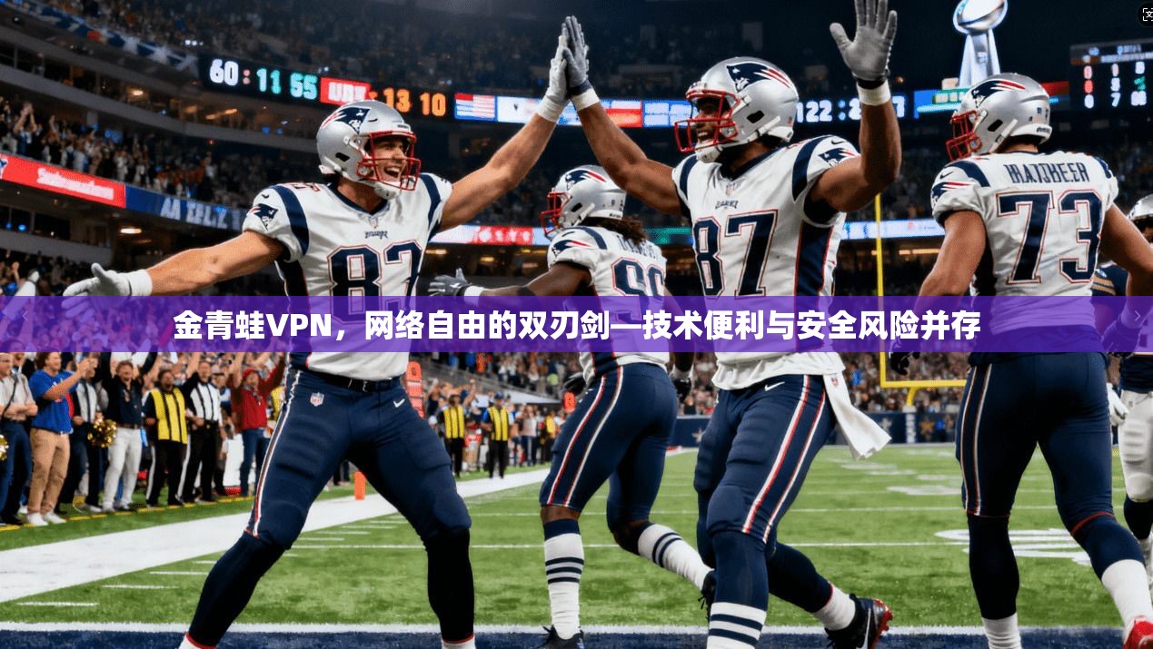 金青蛙VPN，网络自由的双刃剑—技术便利与安全风险并存