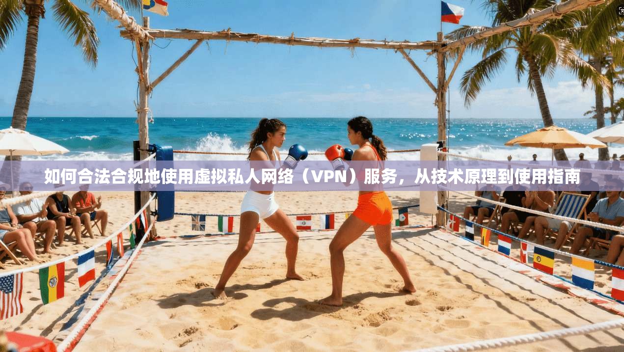 如何合法合规地使用虚拟私人网络（VPN）服务，从技术原理到使用指南