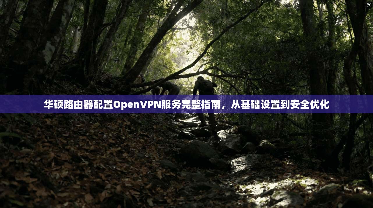华硕路由器配置OpenVPN服务完整指南，从基础设置到安全优化