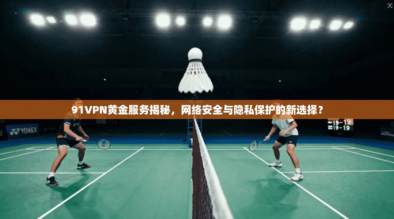 91VPN黄金服务揭秘，网络安全与隐私保护的新选择？