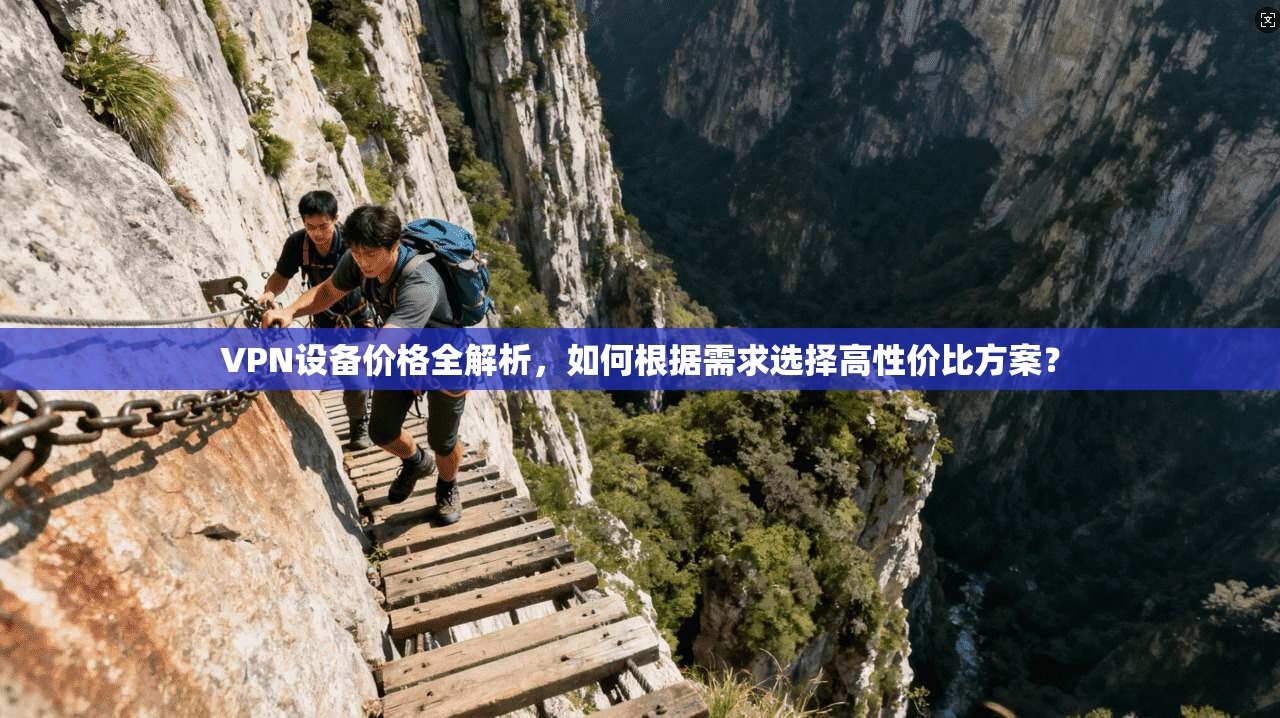 VPN设备价格全解析，如何根据需求选择高性价比方案？