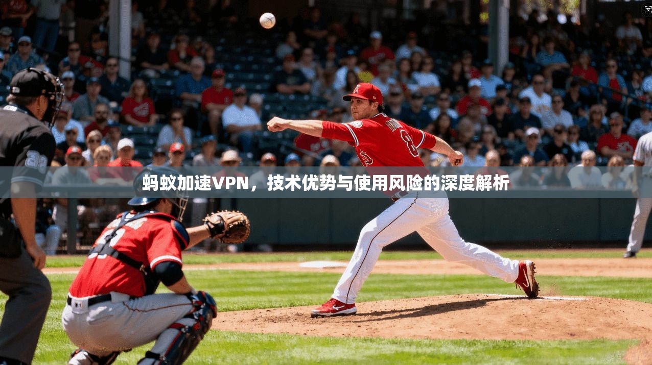 蚂蚁加速VPN，技术优势与使用风险的深度解析