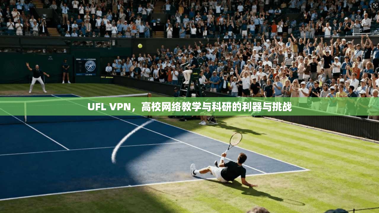 UFL VPN,高校网络教学与科研的利器与挑战
