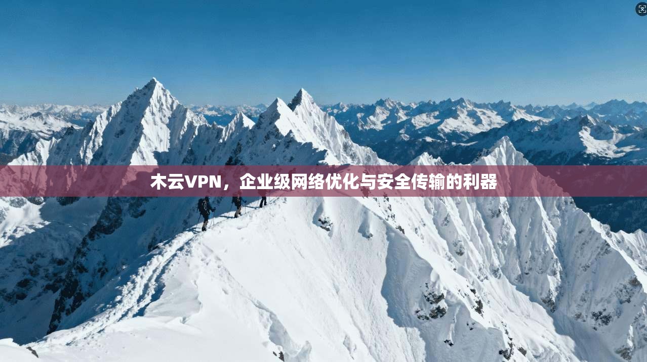 木云VPN，企业级网络优化与安全传输的利器
