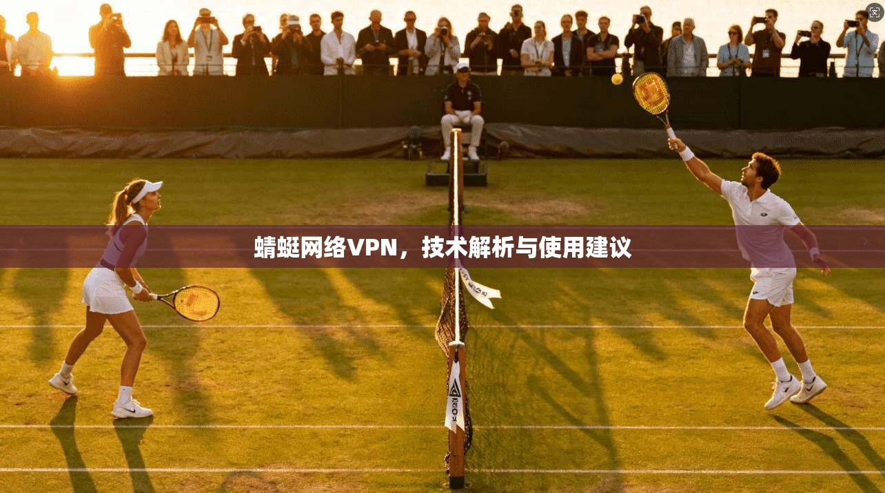 蜻蜓网络VPN，技术解析与使用建议