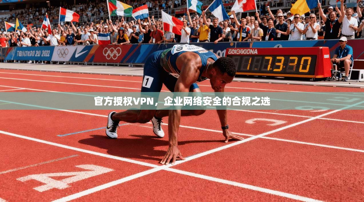 官方授权VPN，企业网络安全的合规之选
