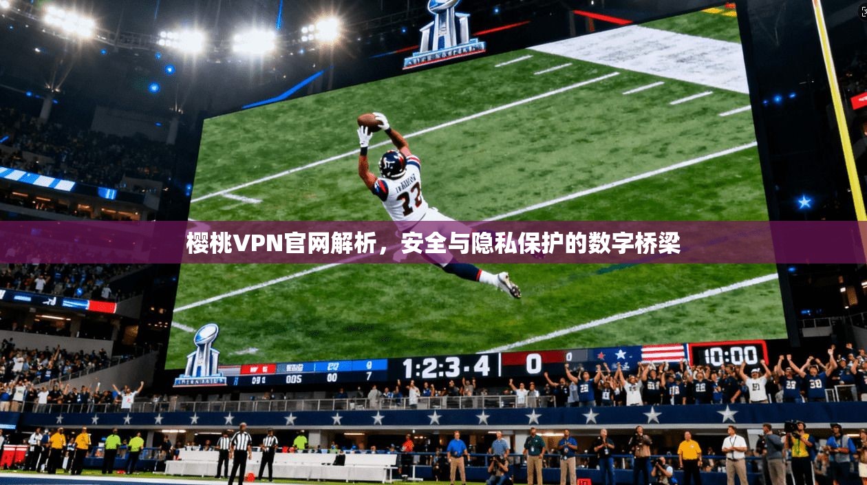 樱桃VPN官网解析，安全与隐私保护的数字桥梁
