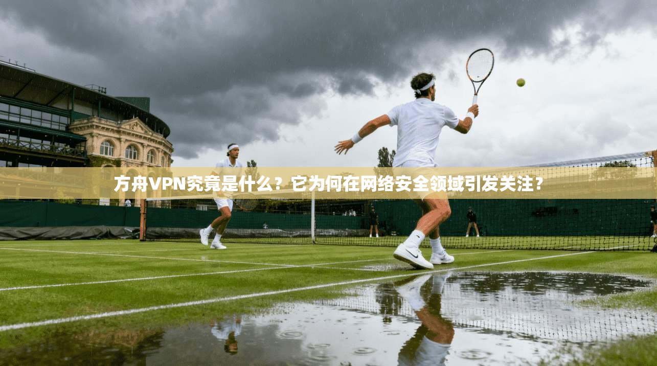 方舟VPN究竟是什么？它为何在网络安全领域引发关注？