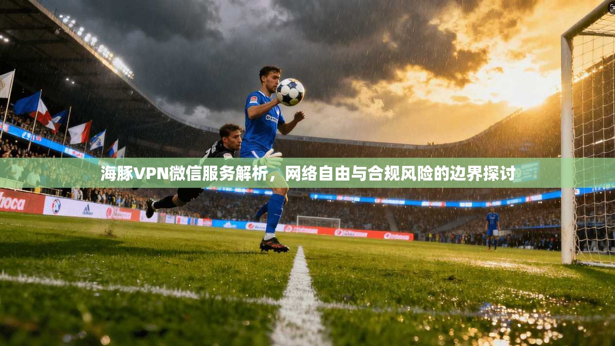 海豚VPN微信服务解析，网络自由与合规风险的边界探讨