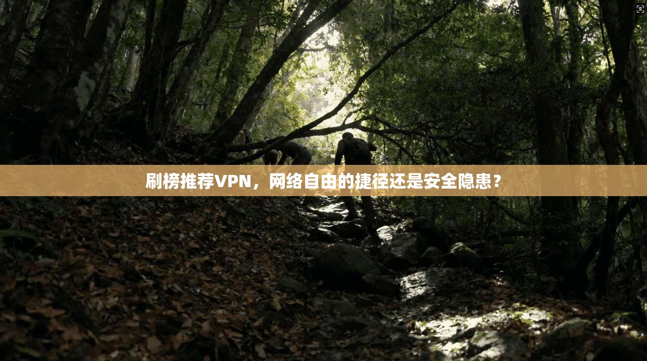刷榜推荐VPN，网络自由的捷径还是安全隐患？