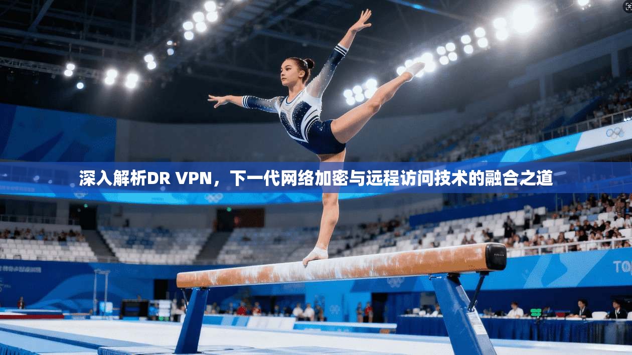 深入解析DR VPN，下一代网络加密与远程访问技术的融合之道