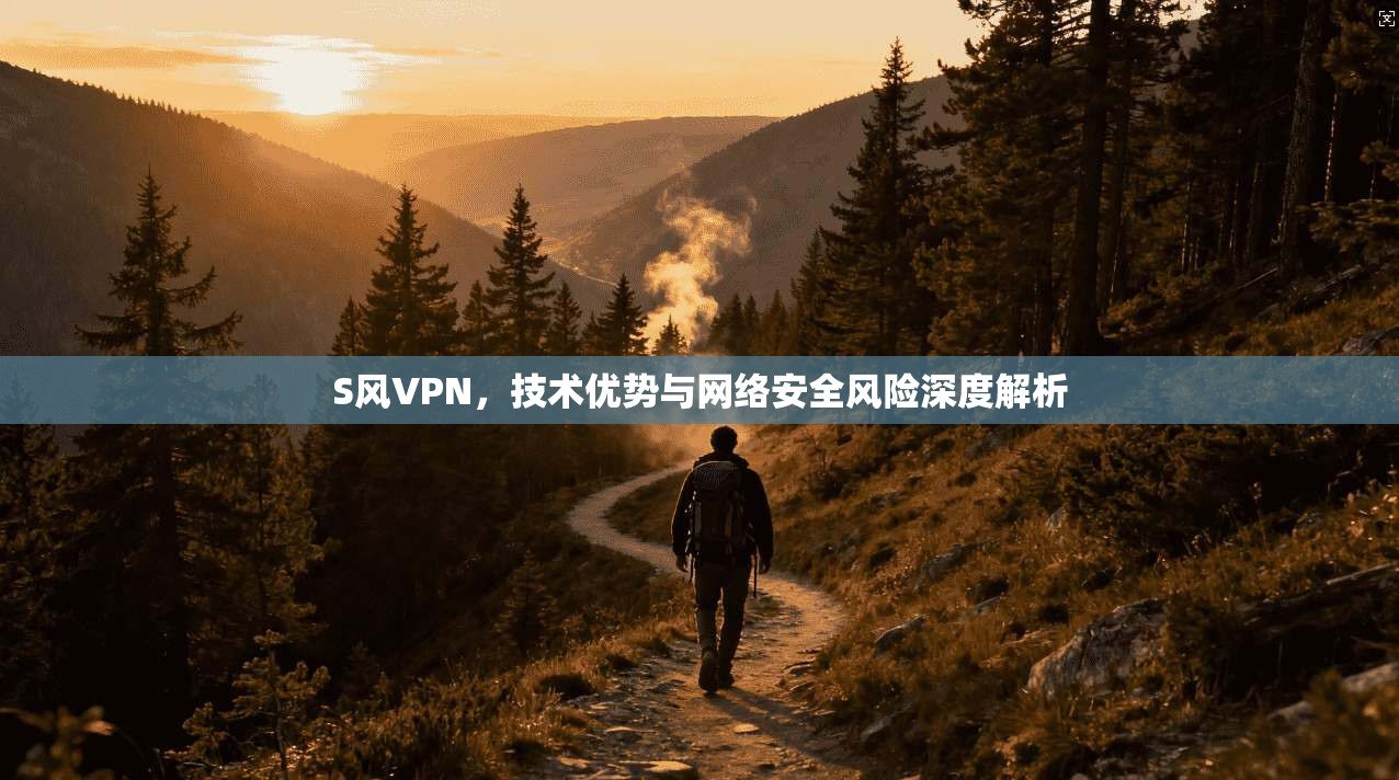 S风VPN，技术优势与网络安全风险深度解析