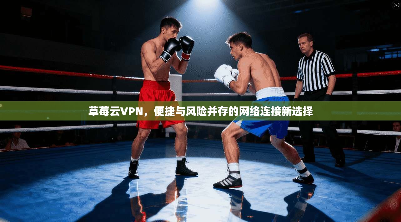 草莓云VPN，便捷与风险并存的网络连接新选择