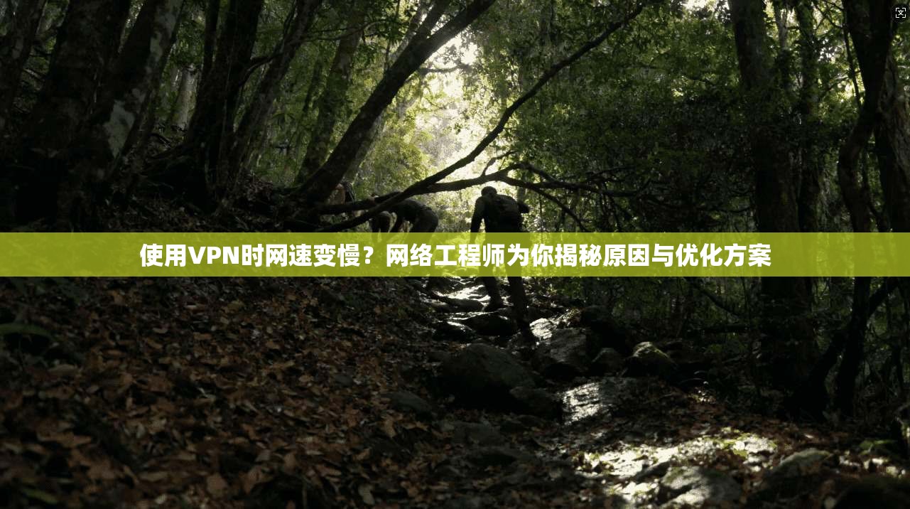 使用VPN时网速变慢？网络工程师为你揭秘原因与优化方案