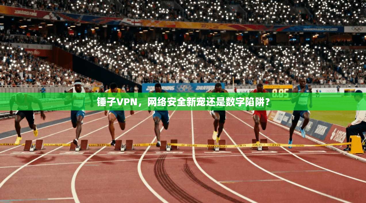 锤子VPN，网络安全新宠还是数字陷阱？