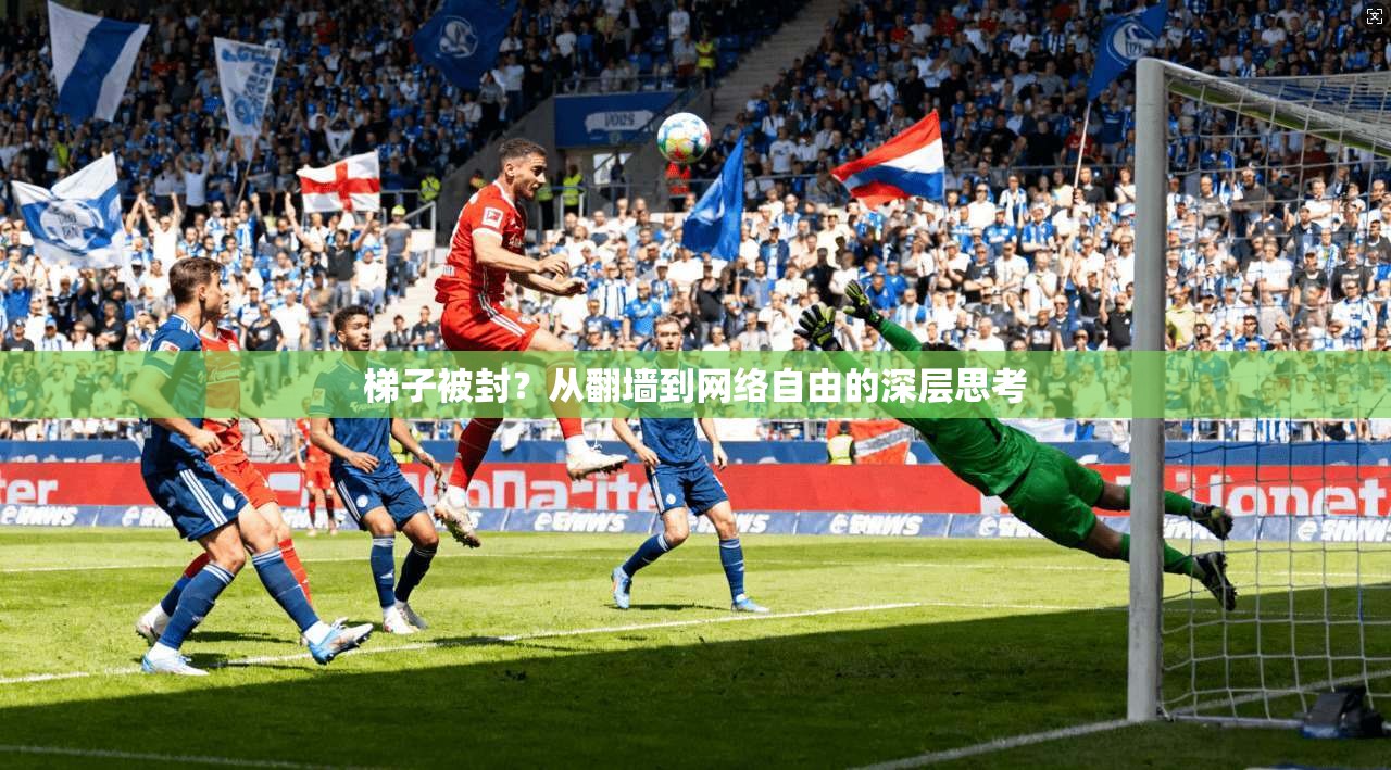 梯子被封？从翻墙到网络自由的深层思考