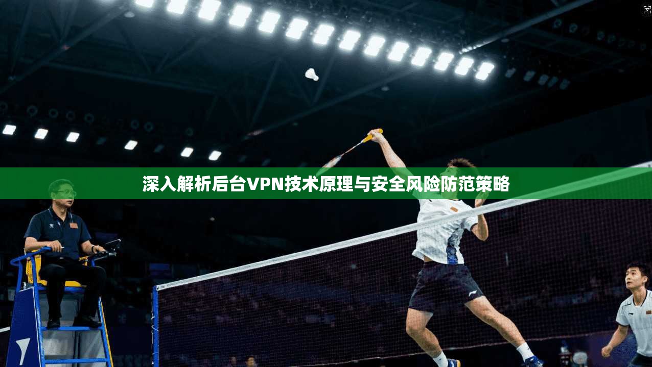 深入解析后台VPN技术原理与安全风险防范策略