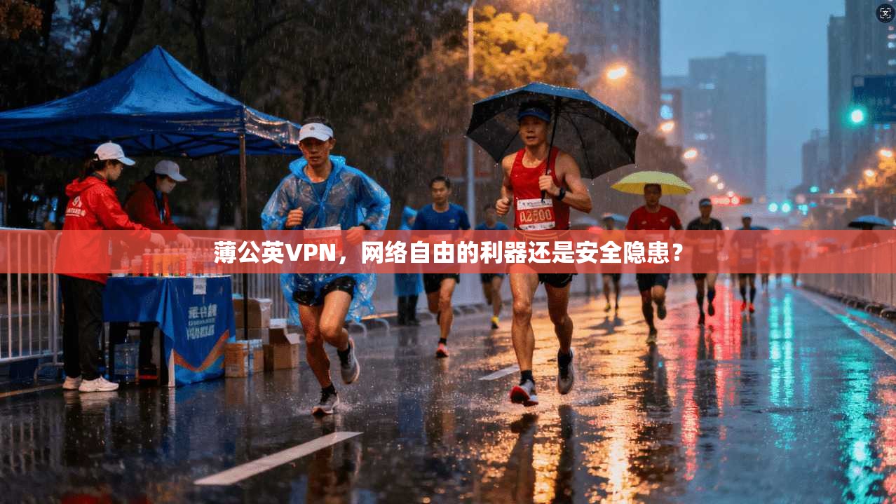 薄公英VPN，网络自由的利器还是安全隐患？