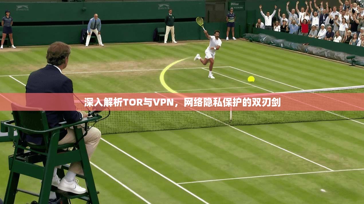深入解析TOR与VPN,网络隐私保护的双刃剑