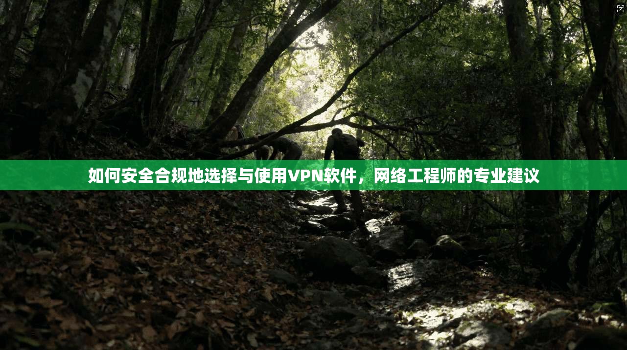 如何安全合规地选择与使用VPN软件,网络工程师的专业建议