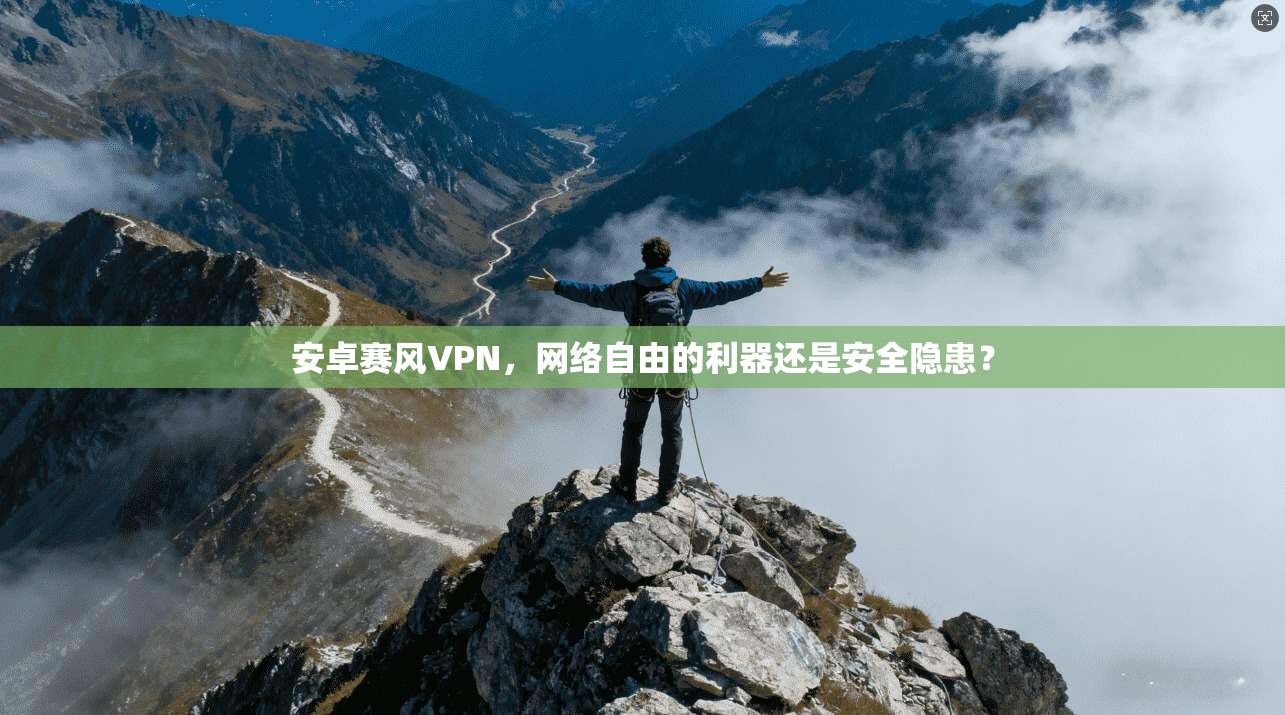 安卓赛风VPN，网络自由的利器还是安全隐患？  第1张