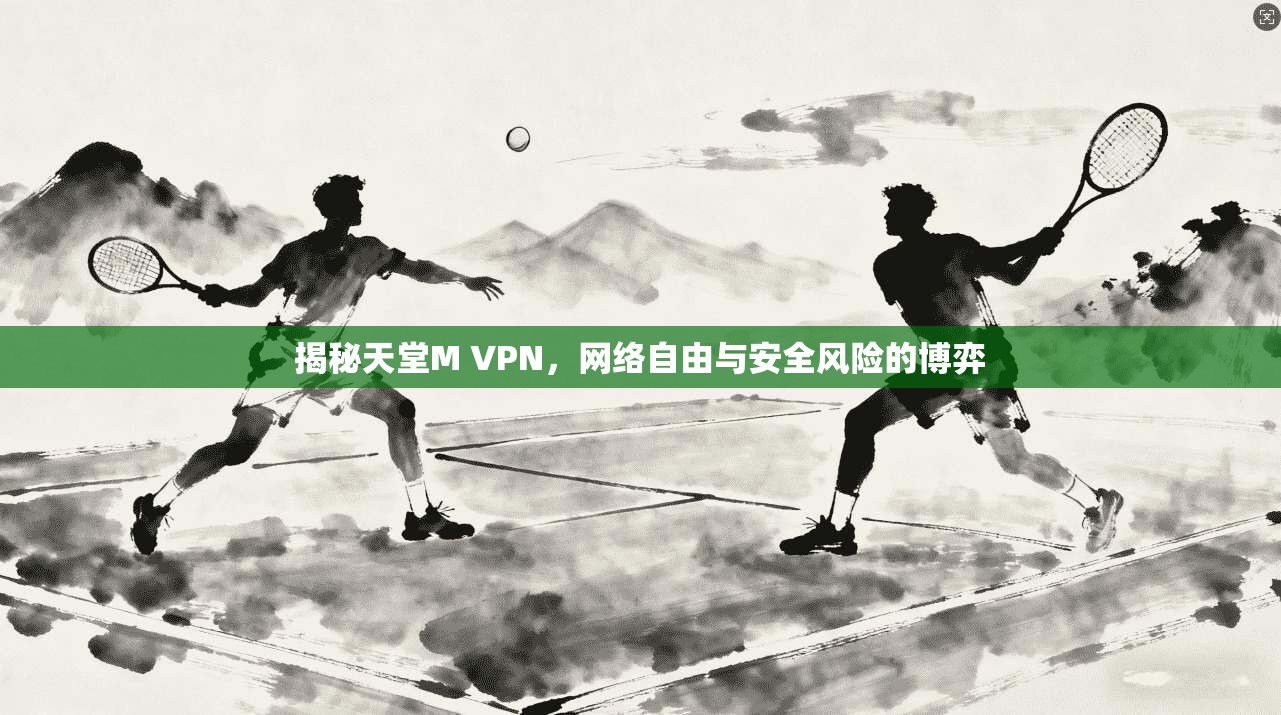 揭秘天堂M VPN,网络自由与安全风险的博弈