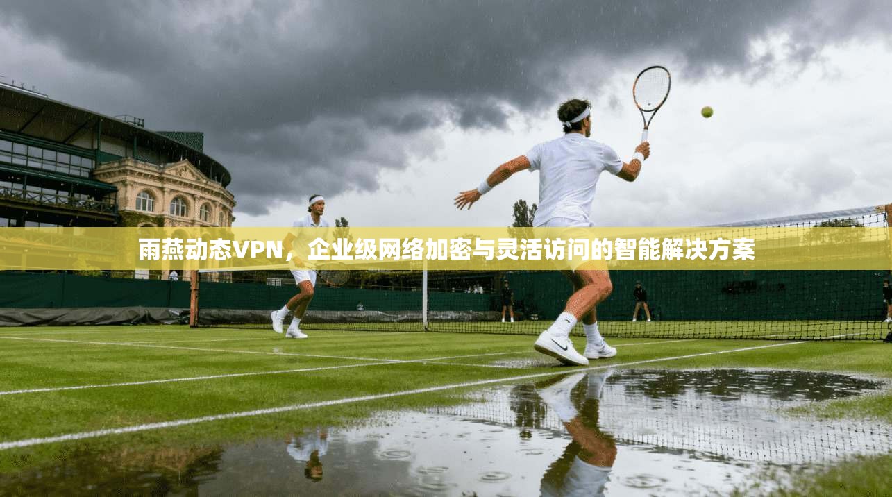 雨燕动态VPN,企业级网络加密与灵活访问的智能解决方案