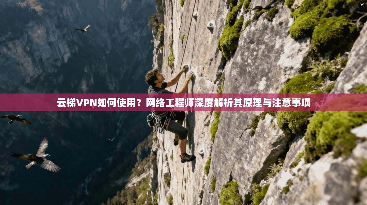 云梯VPN如何使用?网络工程师深度解析其原理与注意事项