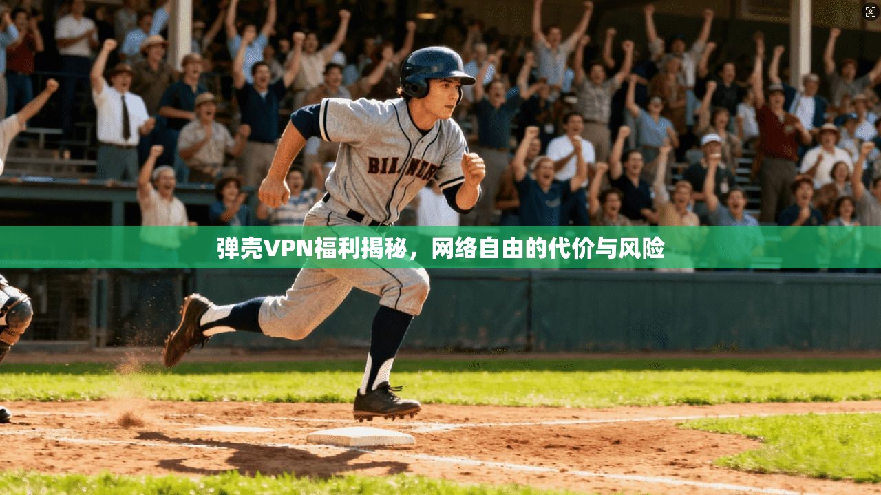 弹壳VPN福利揭秘，网络自由的代价与风险