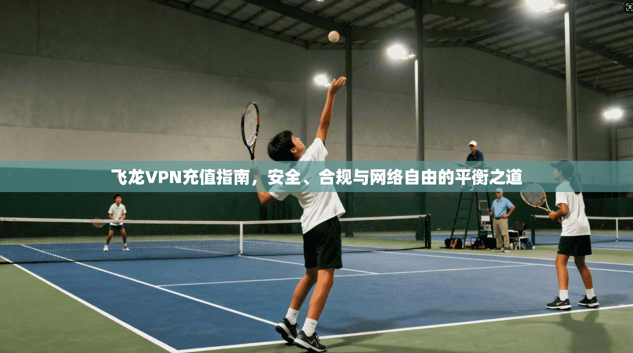 飞龙VPN充值指南，安全、合规与网络自由的平衡之道