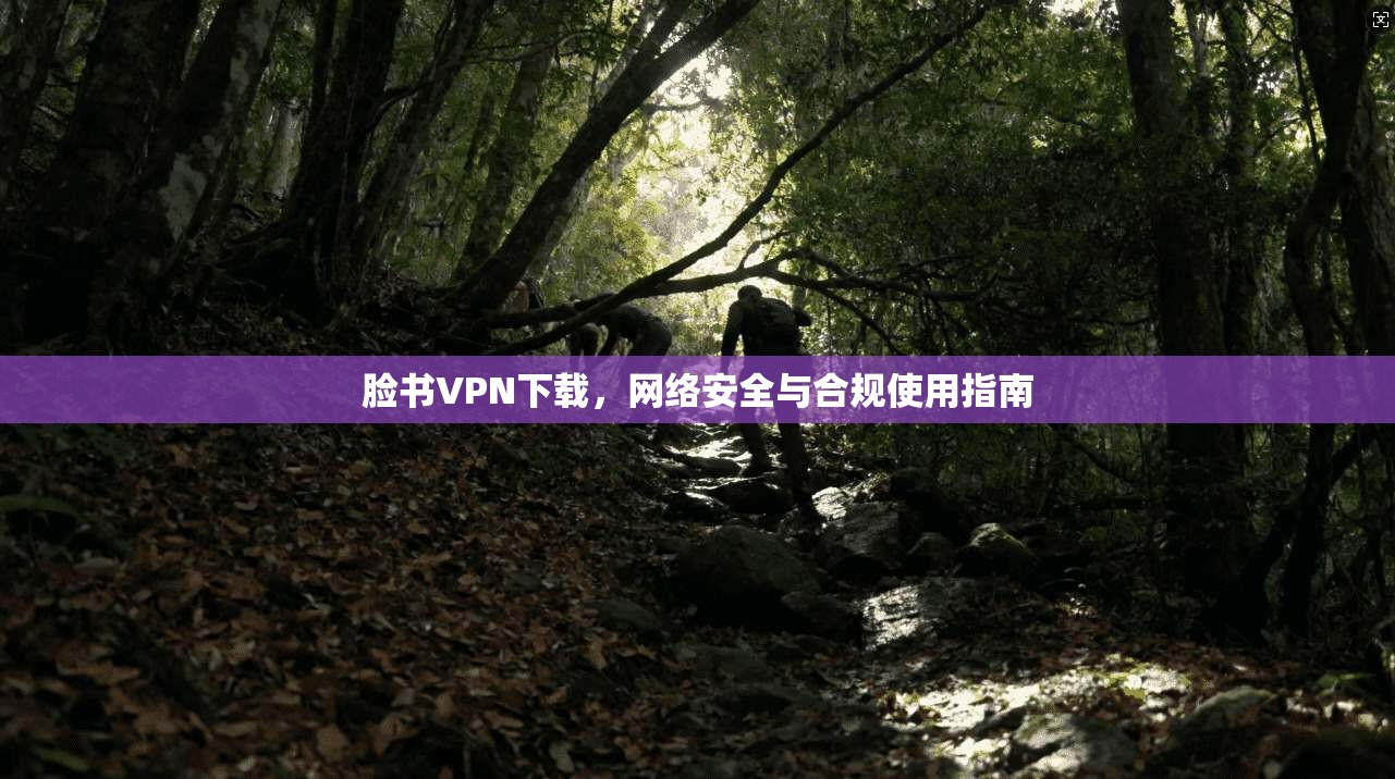 脸书VPN下载，网络安全与合规使用指南